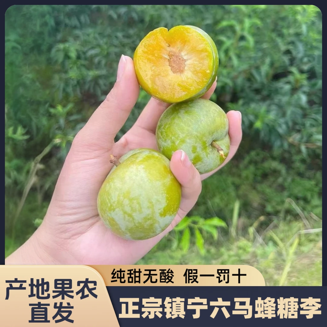 XS【顺丰空运】正宗贵州六马蜂糖李纯甜无酸新鲜采摘高端应季水果