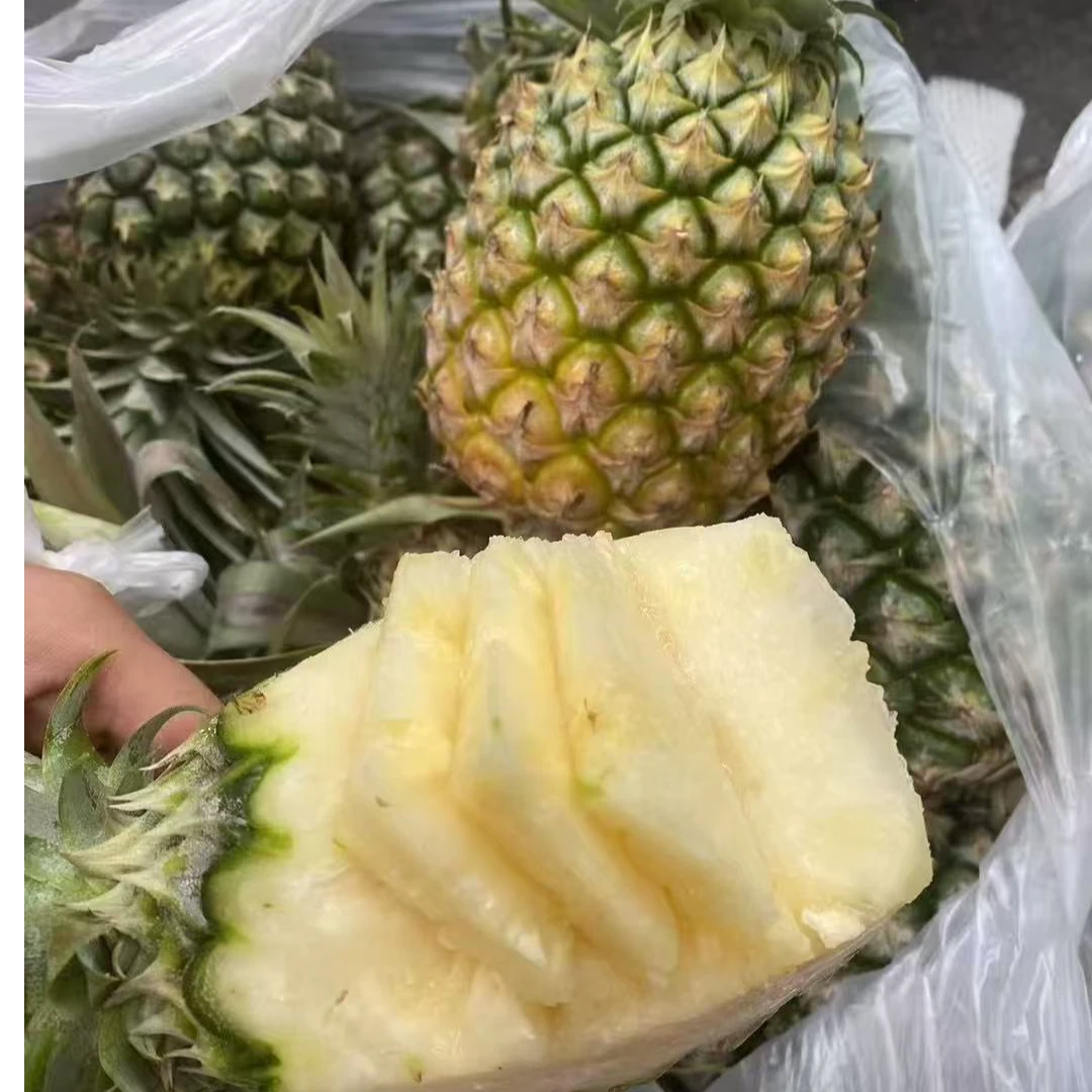 新鲜菠萝一个约3斤左右同城送小菠萝云南省