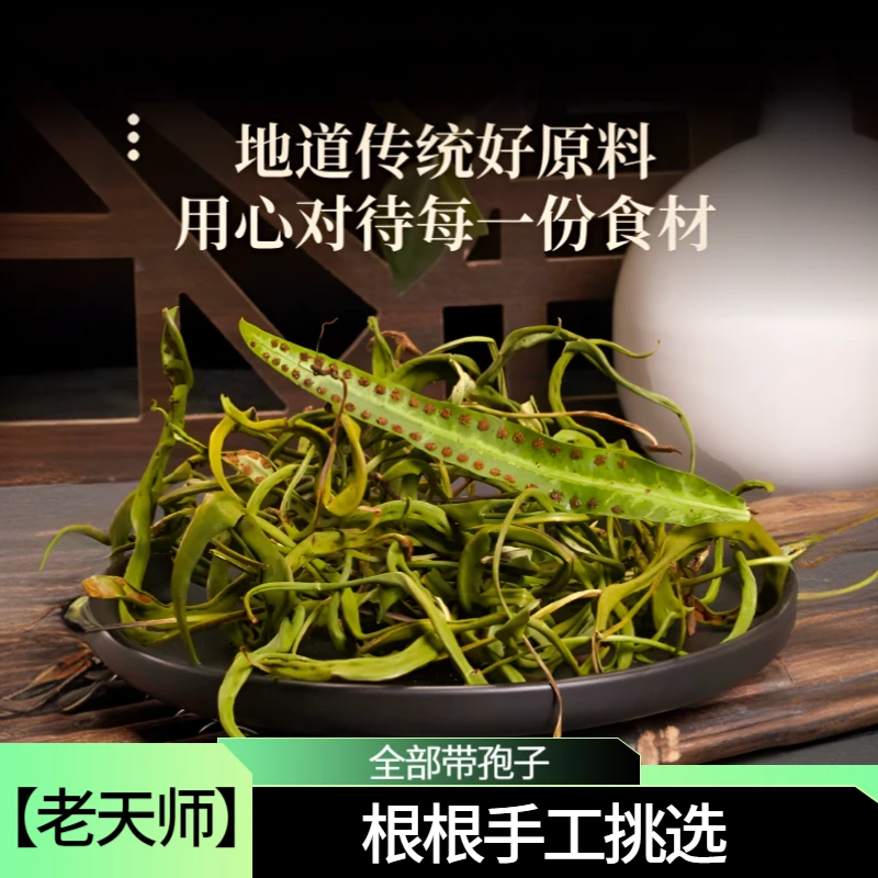 【老天师精选】纯正野生黄金草 手工挑选 根根带孢子 aoao叫