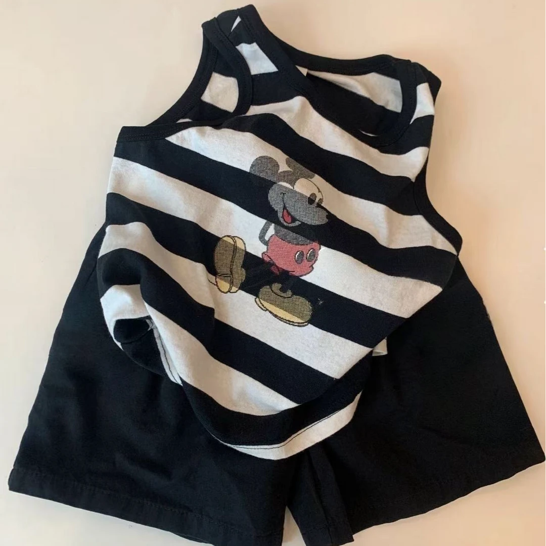 纯棉男童条纹背心套装2025新款韩系中小童儿童坎肩t恤短裤两件套