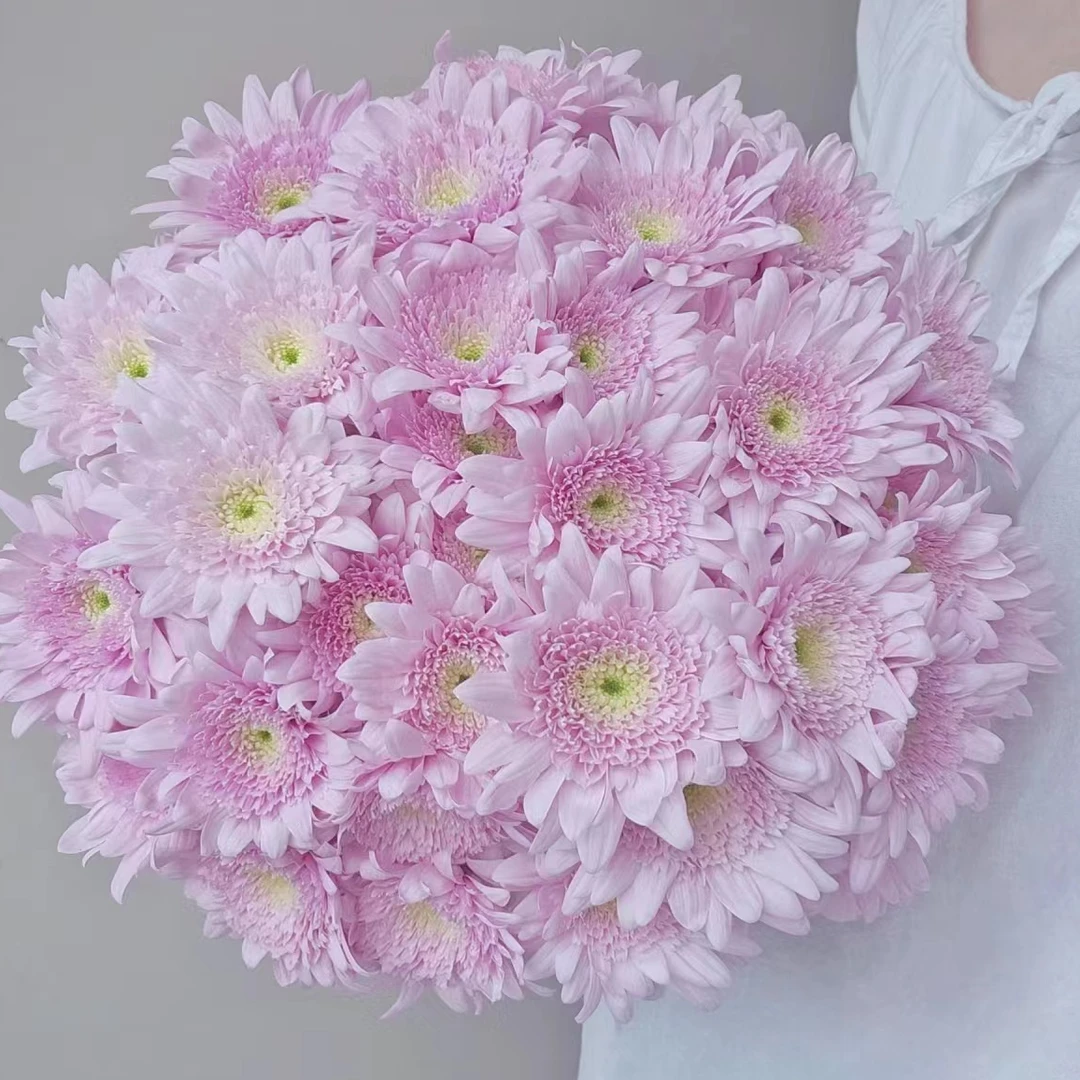 【顺丰发货】草莓杏仁饼雏菊鲜花1-4单一个运费自选品种