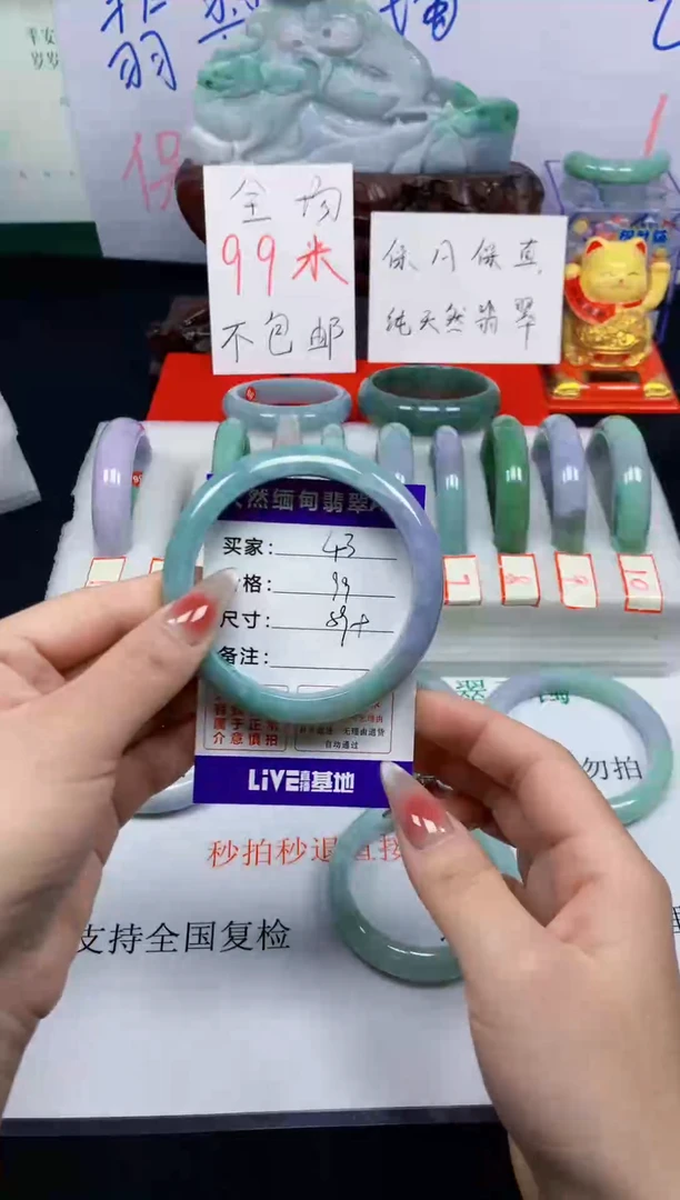 未镶嵌手镯翡翠43