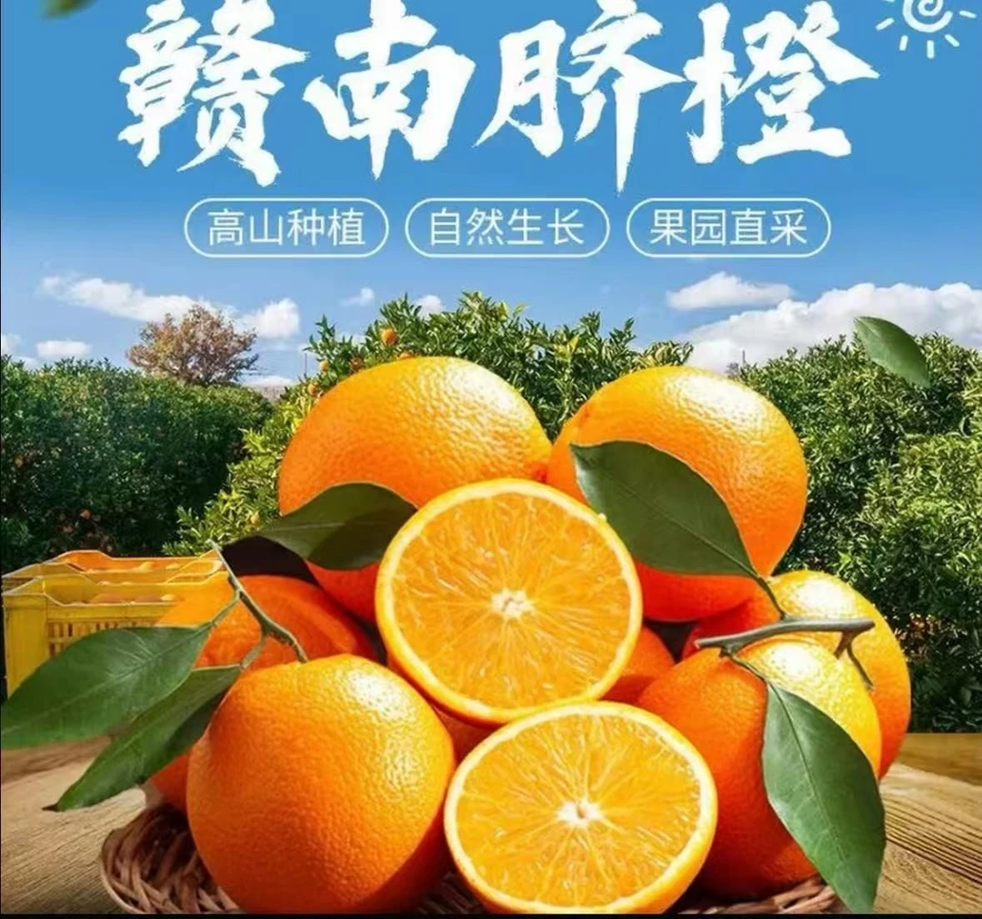 【现摘现发】正宗赣南脐橙橙子新鲜产地直发多汁橙子 多仓发货j