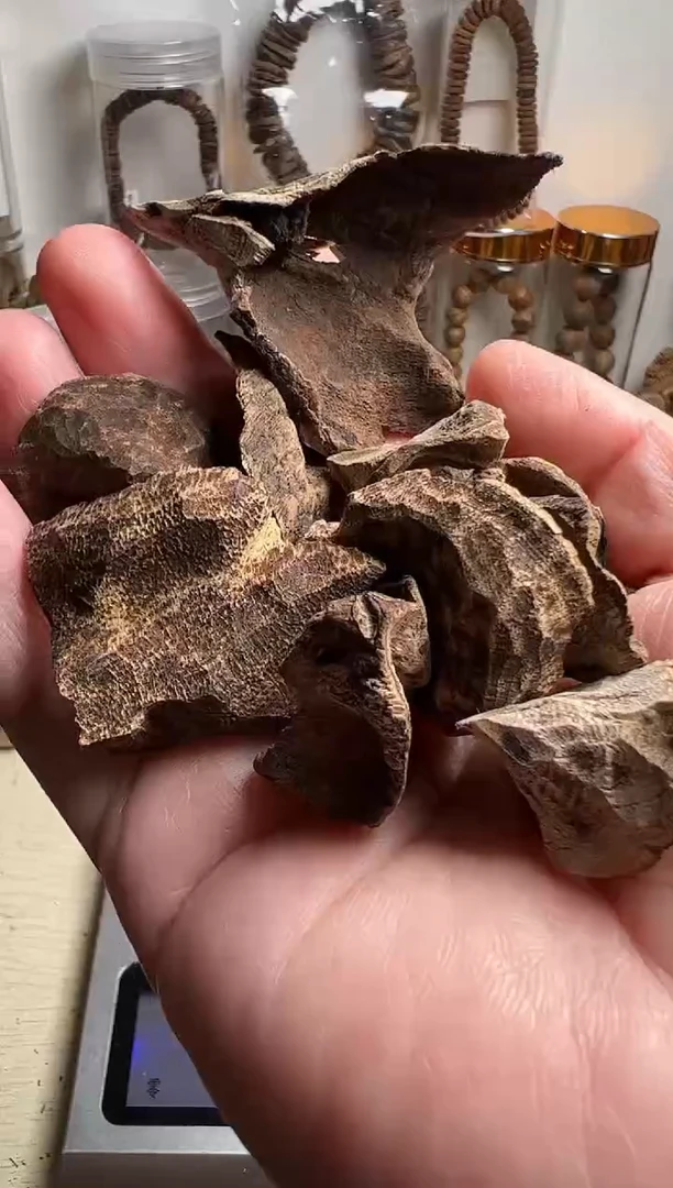 沉香沉香碎屑芽庄沉香10克