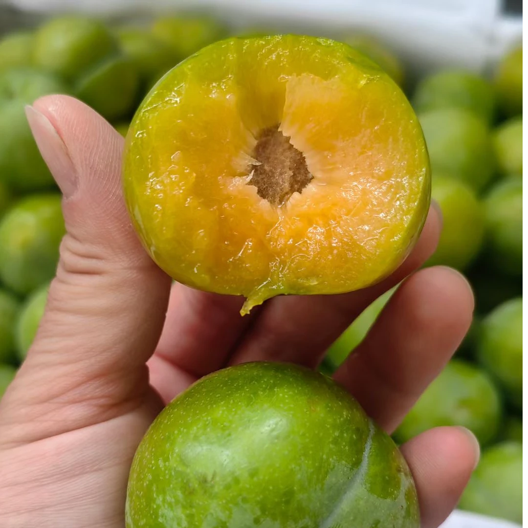 【当季】冰糖李(大果,纯甜,脆甜)约500g