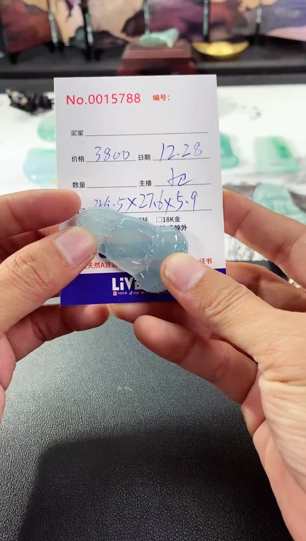 颈饰未镶嵌翡翠素衣