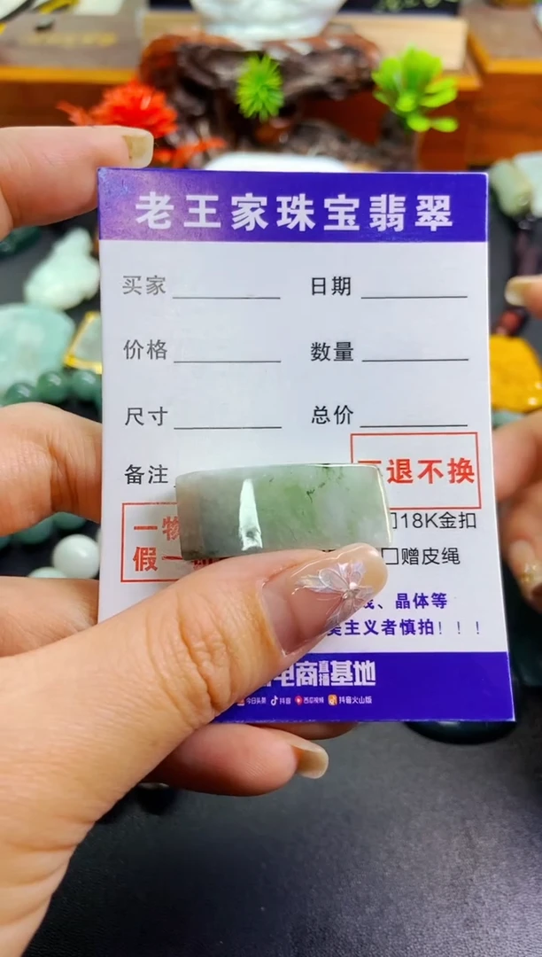 【闪购商品】翡翠颈饰未镶嵌料子