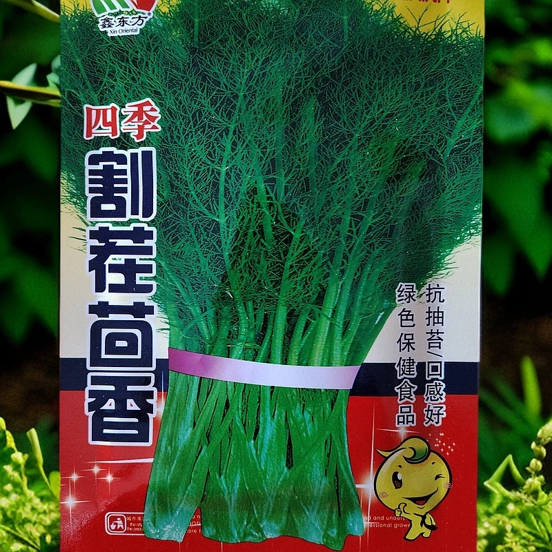 四季割茬茴香种子拍一发二