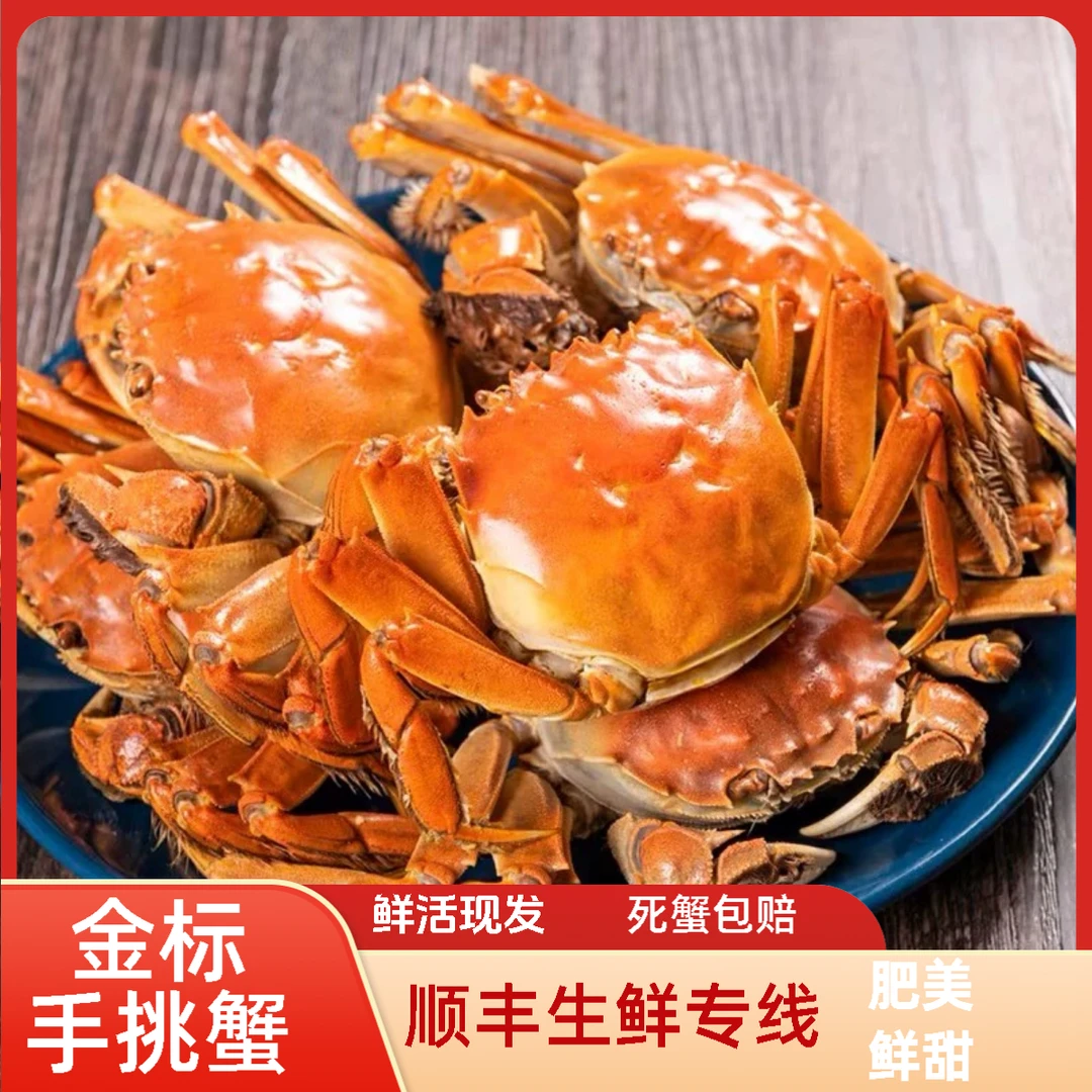 【活蟹】母蟹稻田河蟹1.2-0.9两左右顺丰冷链专线鲜活20+10只老徐
