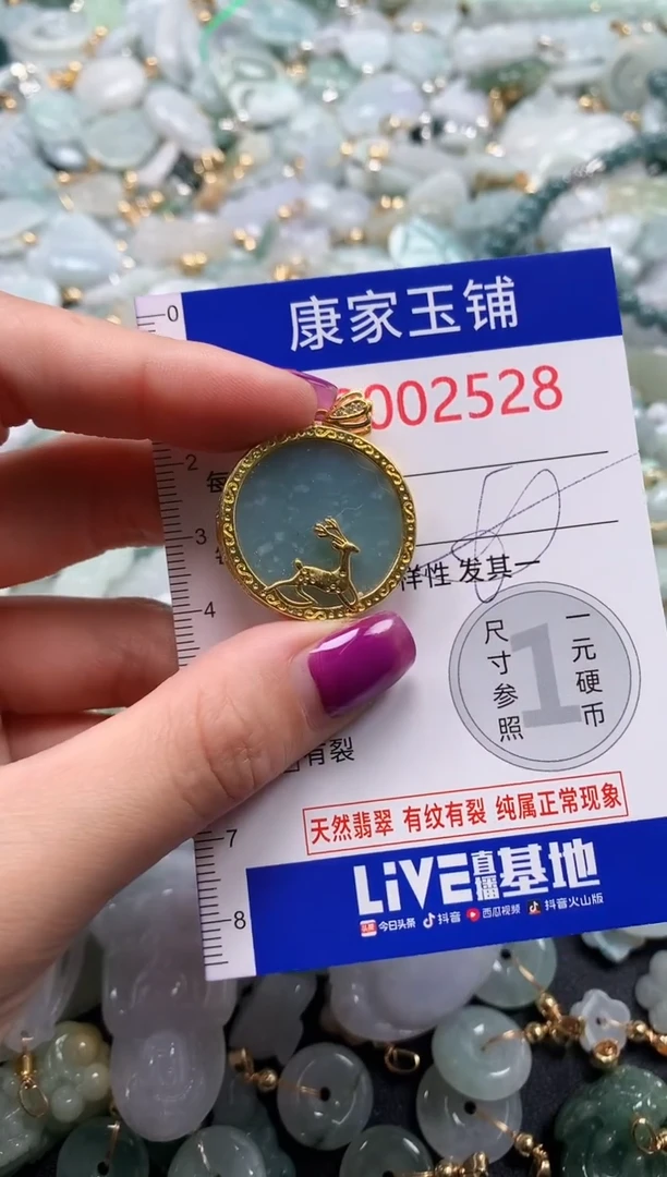 颈饰未镶嵌翡翠2528