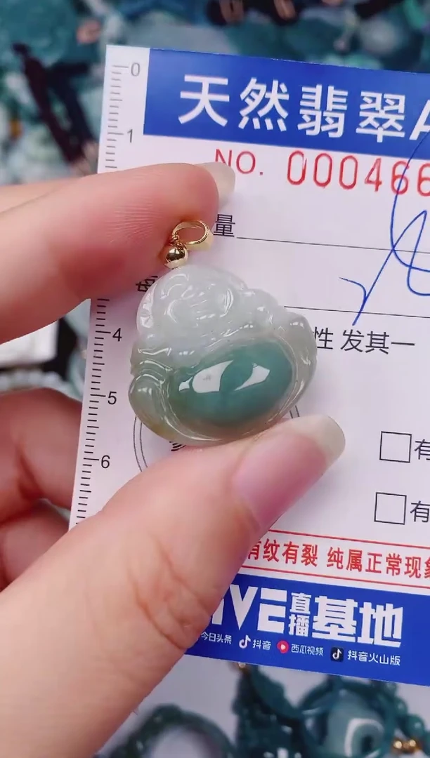 颈饰未镶嵌翡翠00004669
