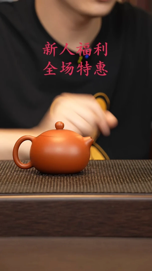 茶壶紫砂微瑕源头精品手工作品2121