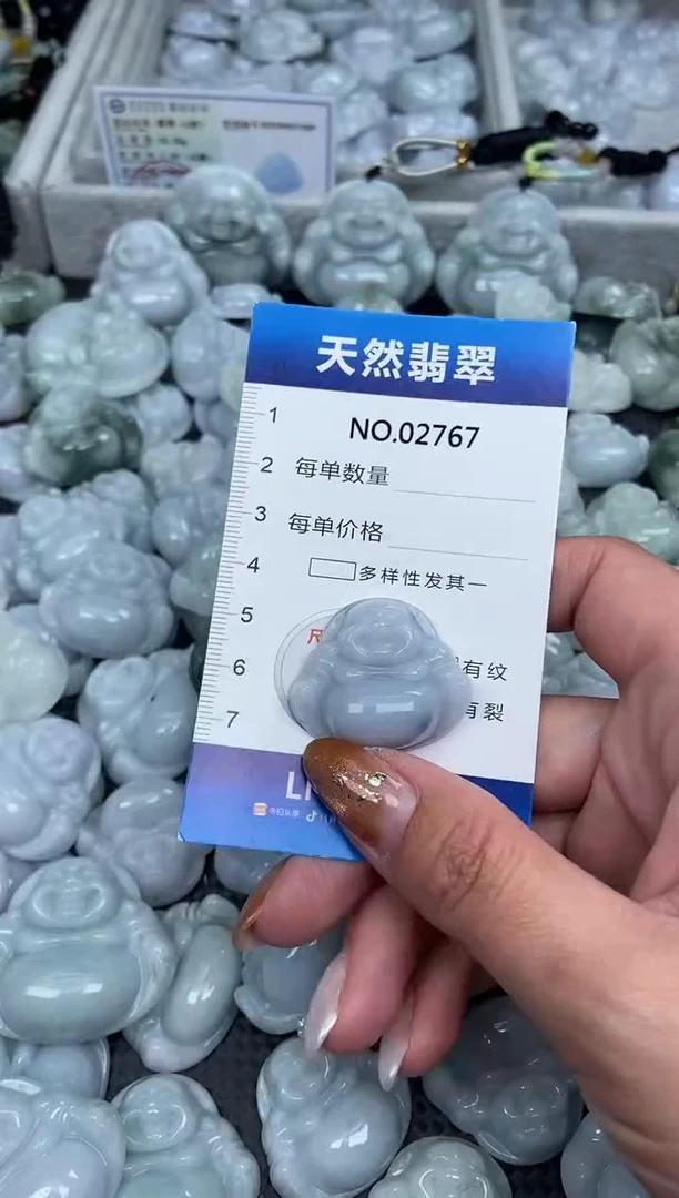 颈饰未镶嵌翡翠纯天然A货翡翠2767