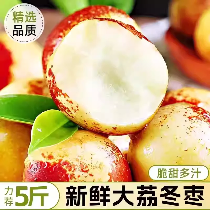 陕西大荔正宗头茬冬枣新鲜现摘脆甜多汁当季水果产地直发包邮F