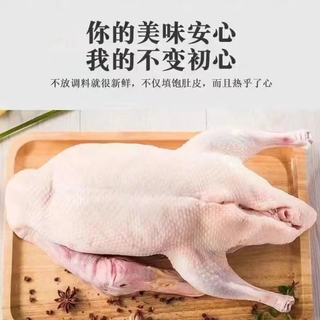 [顺丰发货]沂蒙麻鸭买一发三 宰杀急速冷冻 冷链无内脏无爪无翅