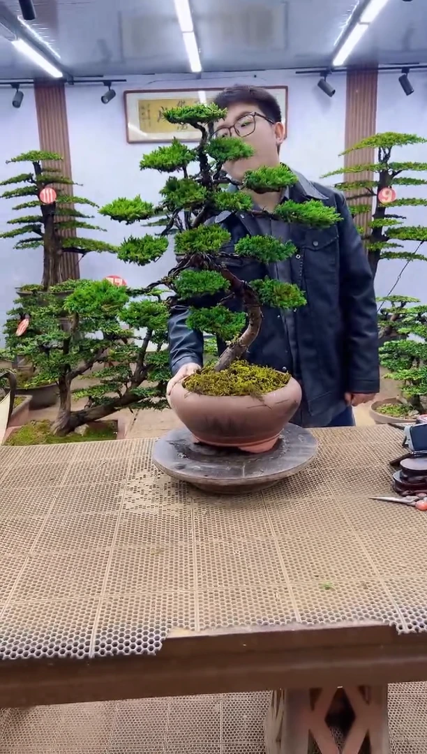 一物一拍，所见即所得