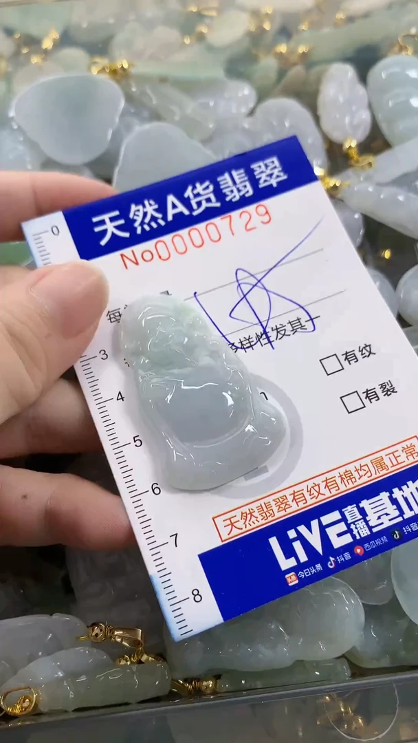 颈饰未镶嵌翡翠天然A货翡翠