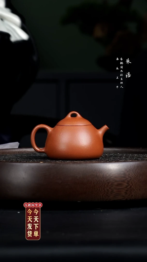【闪购商品】紫砂茶壶0213早直播谢杰帛玉