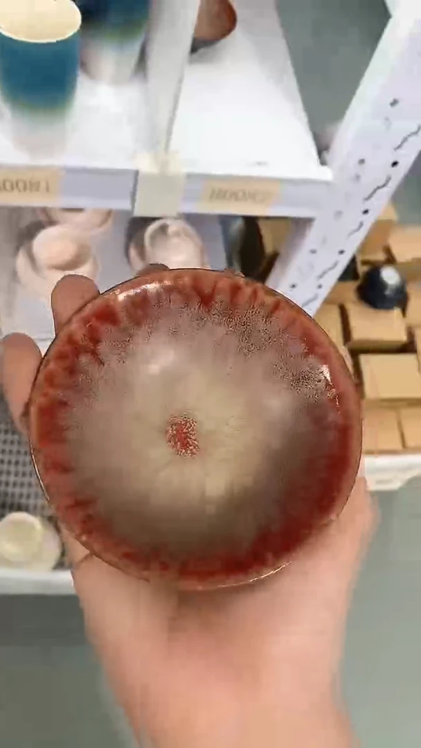 瓷片B0082陶瓷茶具茶器