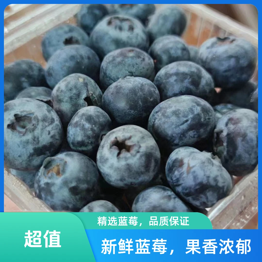 【2盒】云南花香蓝莓，规格15mm，125g一盒，云南花香蓝莓新品上市高山蓝莓当季新鲜水果脆甜可口