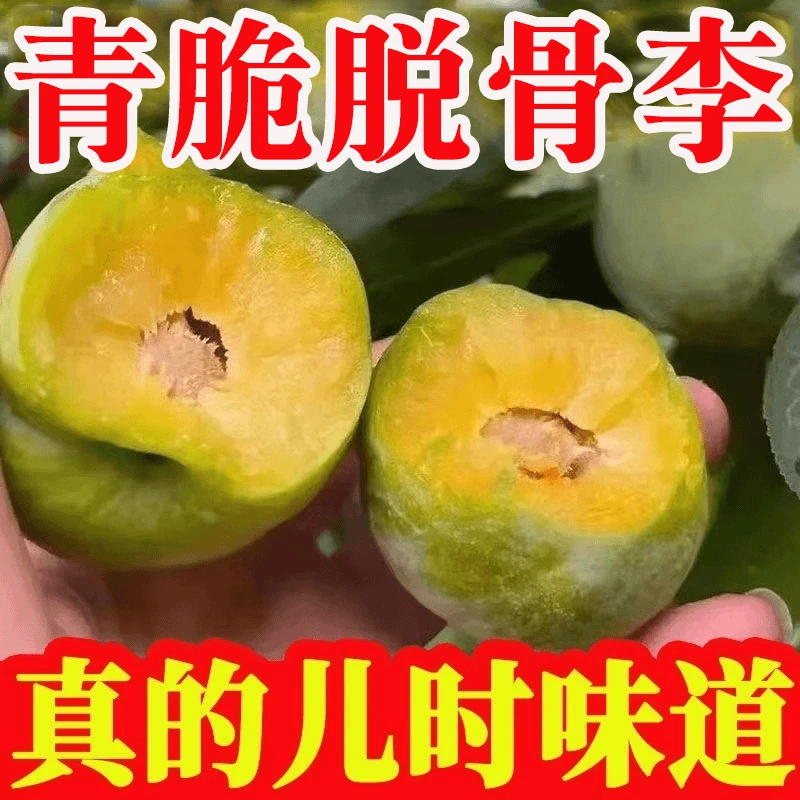 正宗贵州青脆脱骨李新鲜现摘脆甜多汁孕妇水果多仓发货