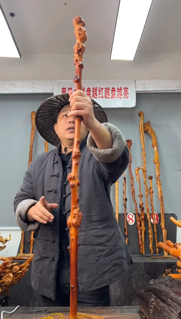 【闪购商品】黑果木其他黑果木302