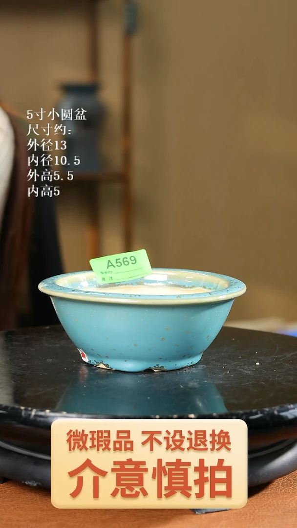 5寸小圆盆   569