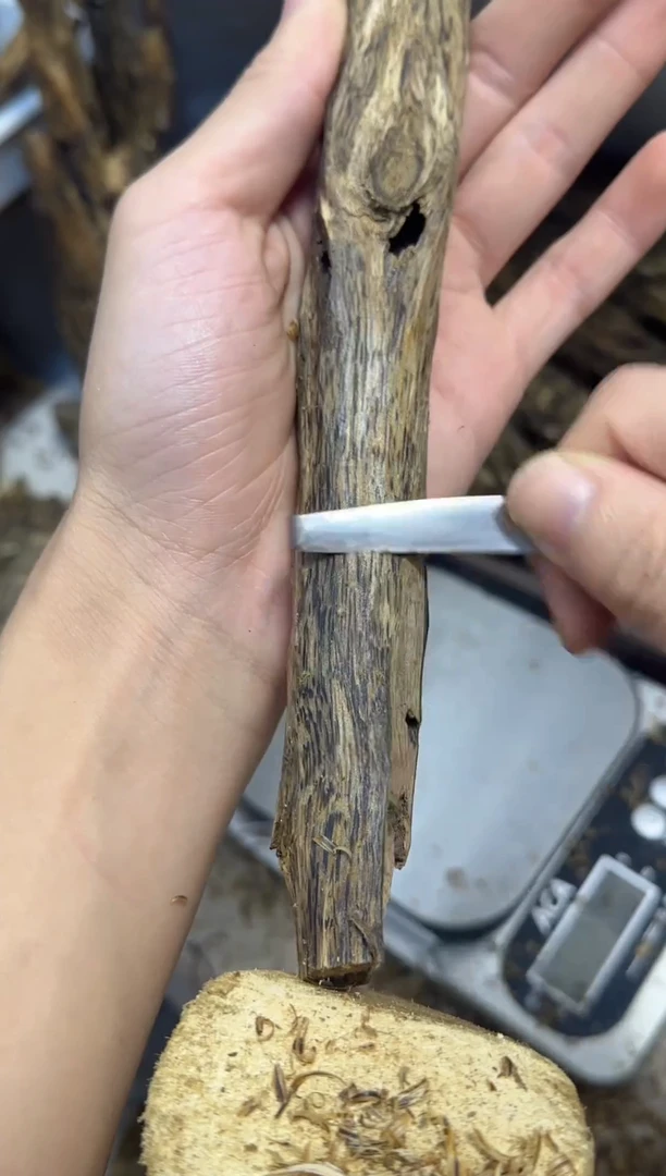 沉香沉香碎屑绿棋楠