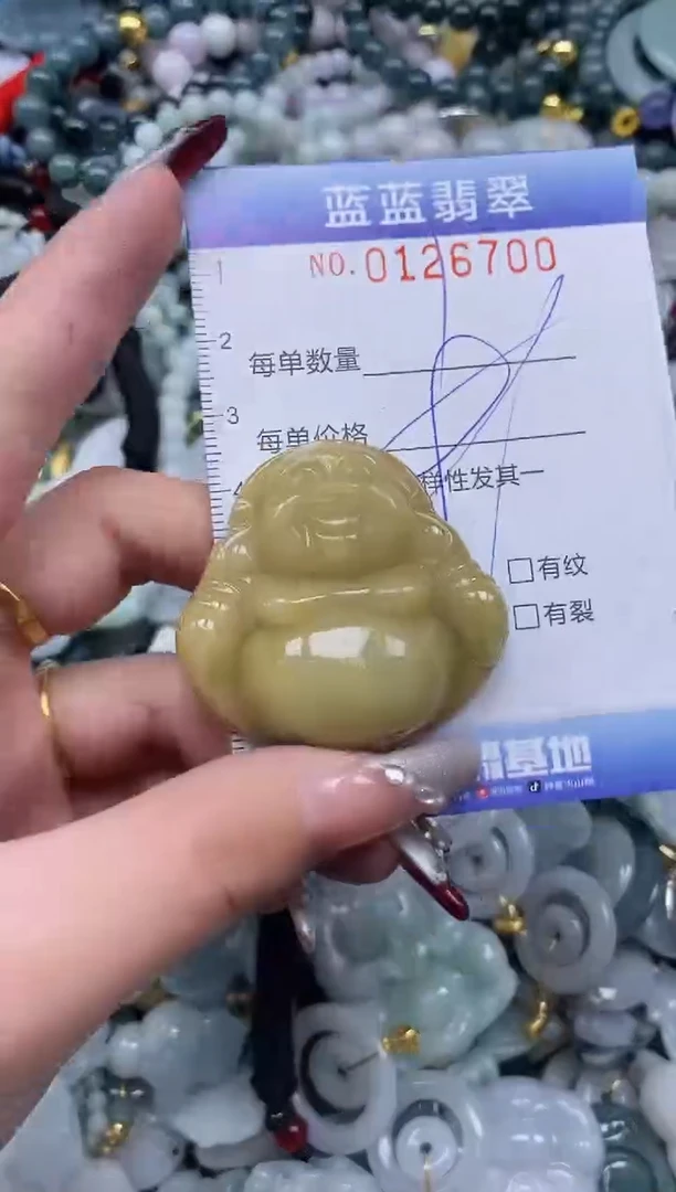 【闪购商品】翡翠颈饰未镶嵌闪购0126700多样性发其一