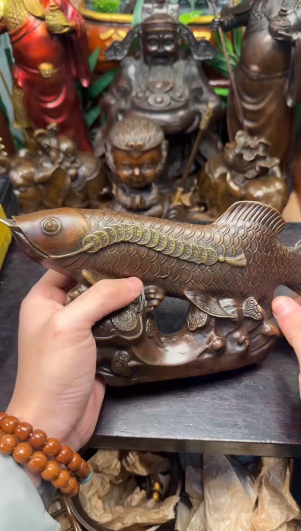 潼潼古铜只卖真铜！（金龙鱼）