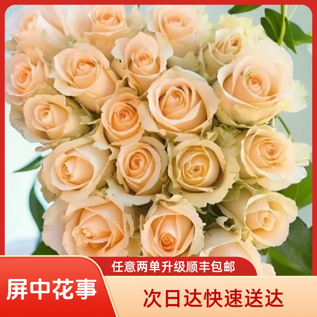 次日达-【蜜桃雪山】10枝单头香槟玫瑰鲜花批发直播任意两单升级顺丰包邮三单送随机花瓶一个今天拍明天到