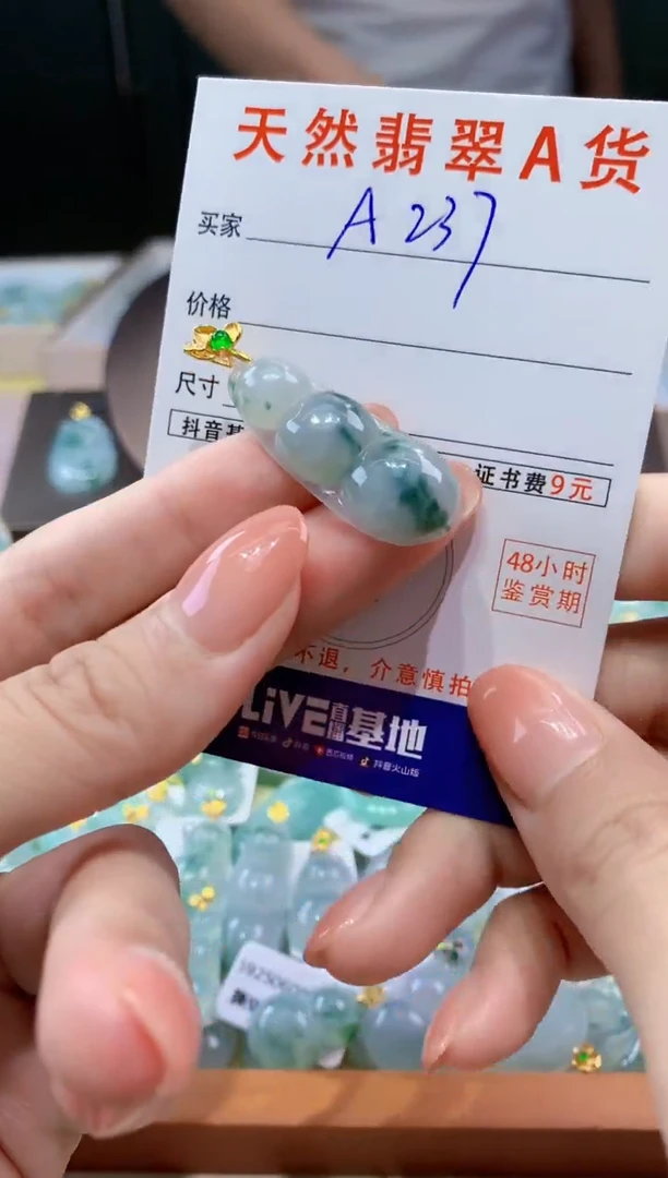 翡翠未镶嵌颈饰天然翡翠A货挂件