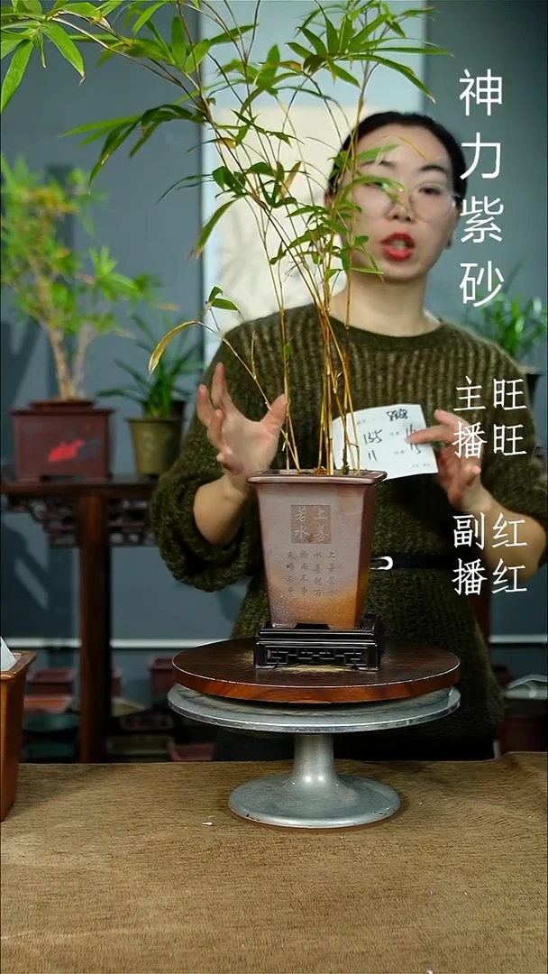 紫砂花盆8868+S紫砂花盆紫砂