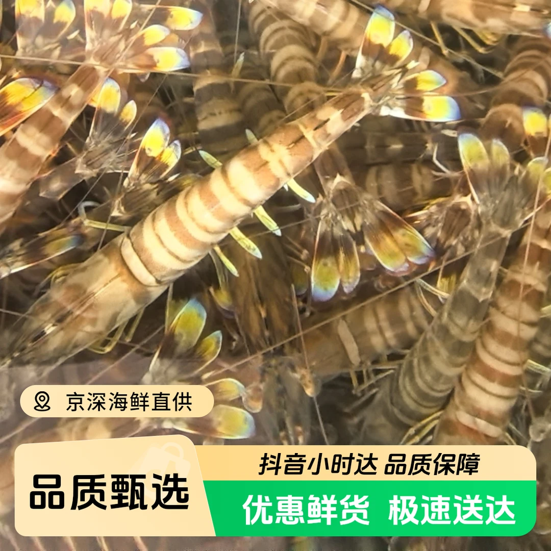 ［鲜活］应季基围虾500克/份