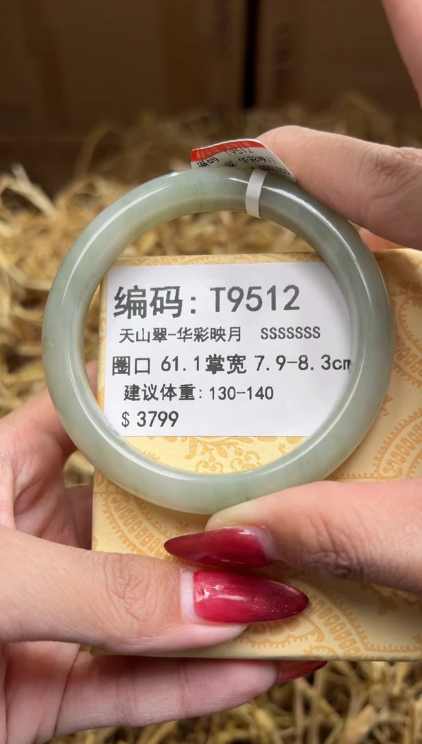 未镶嵌手镯石英质玉T9512