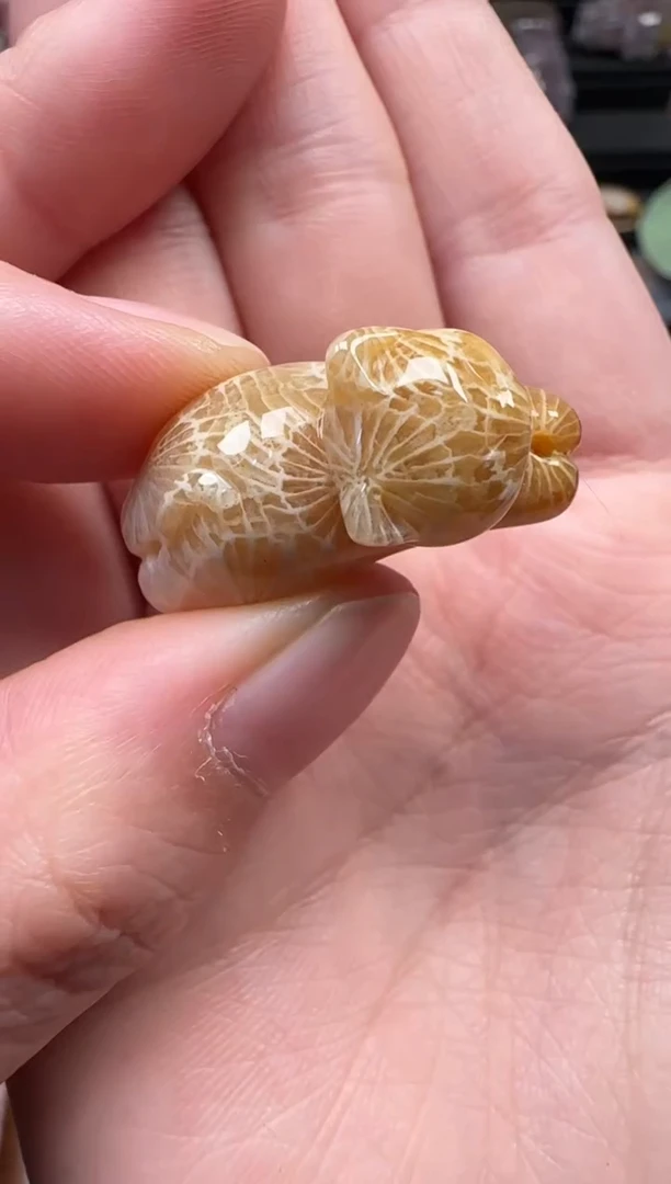 颈饰未镶嵌硅化珊瑚（珊瑚玉）636