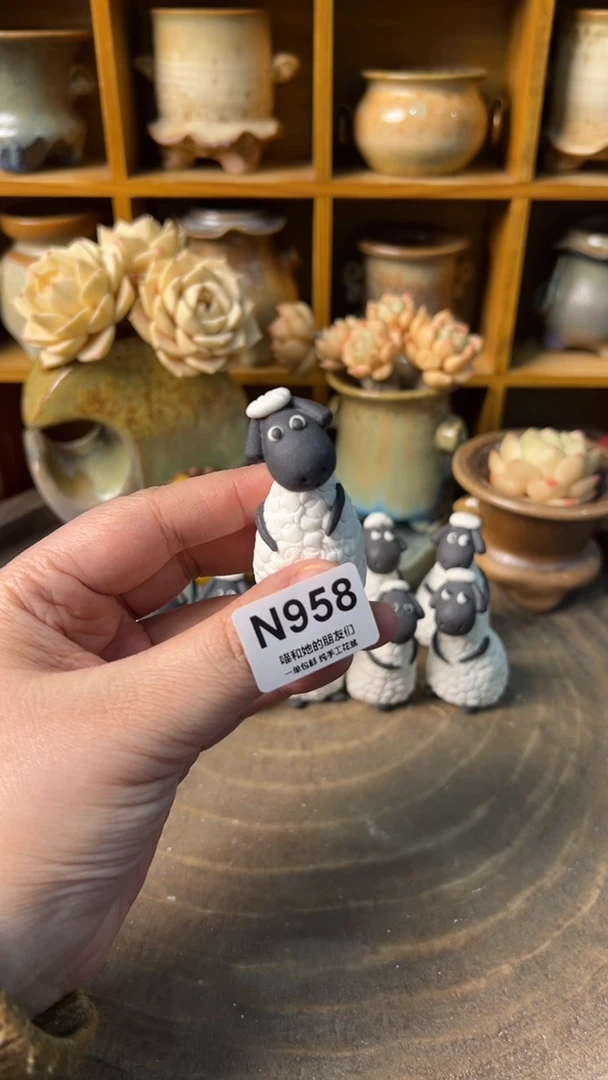 别****彩958【多肉花盆多肉盆】