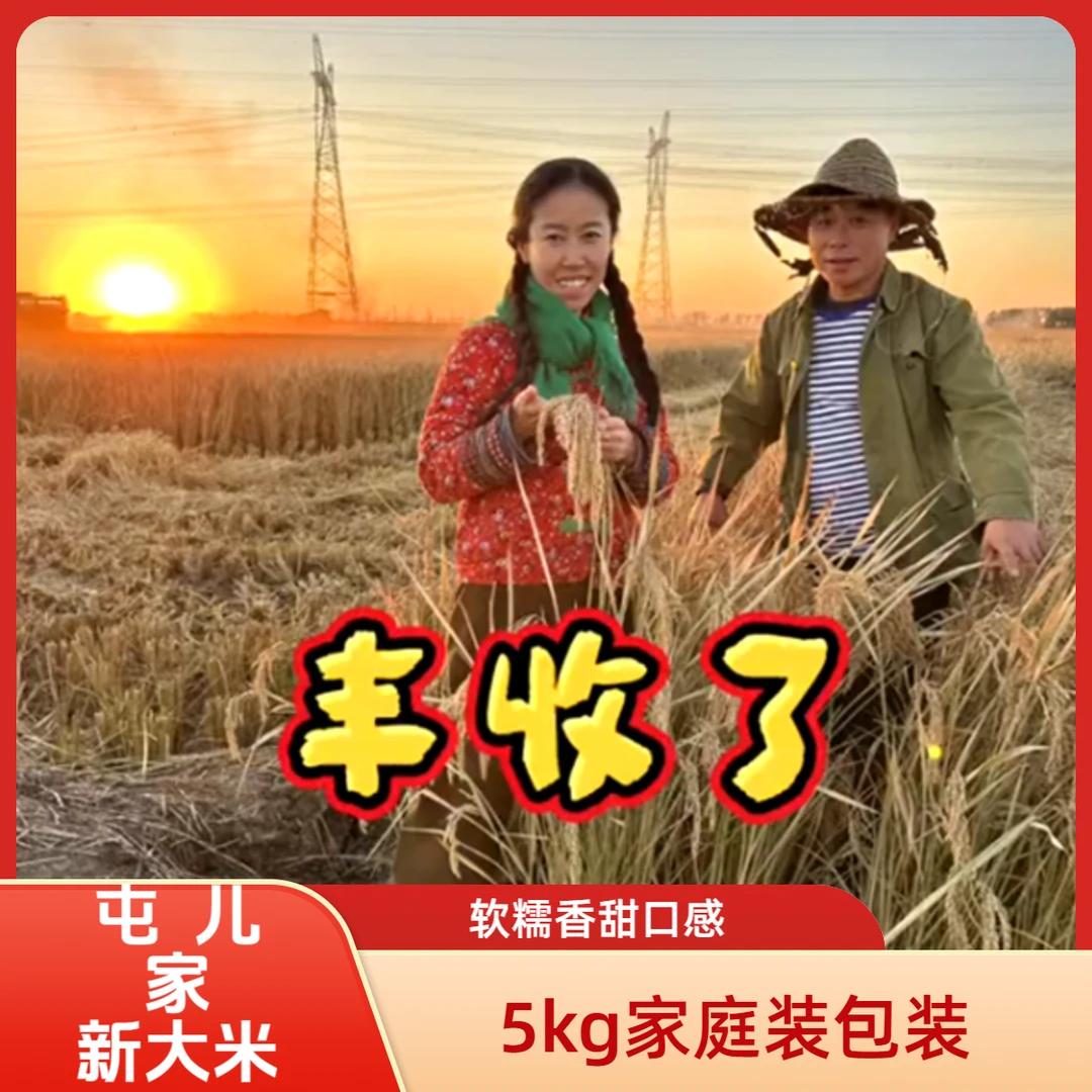 屯儿家2025年新大米