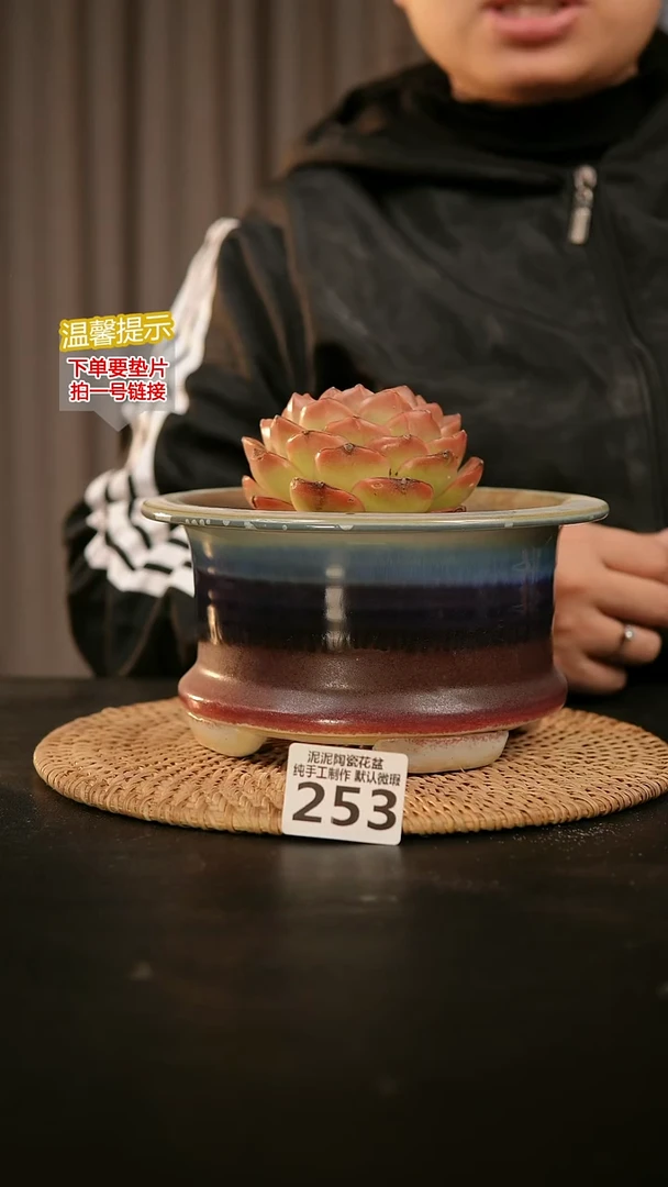 瓷片253内口径约15  外高约10