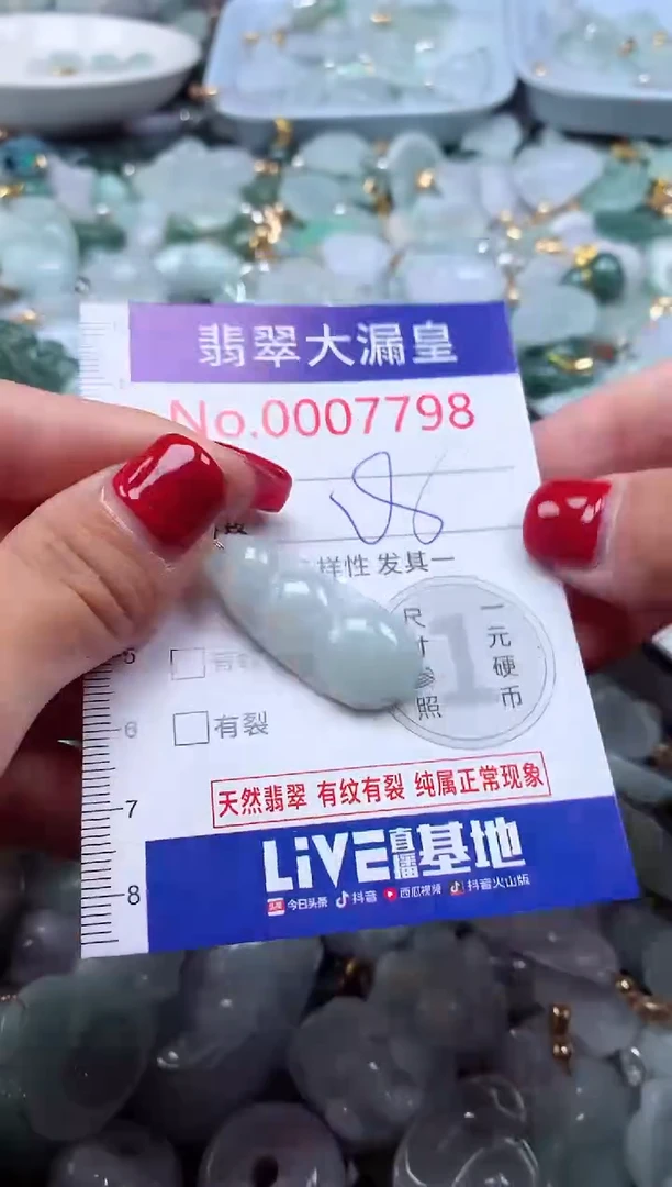 颈饰未镶嵌翡翠7798