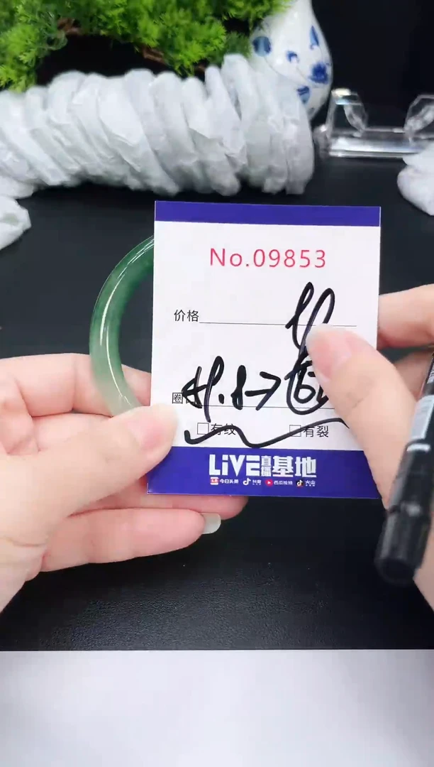 未镶嵌手镯翡翠9853