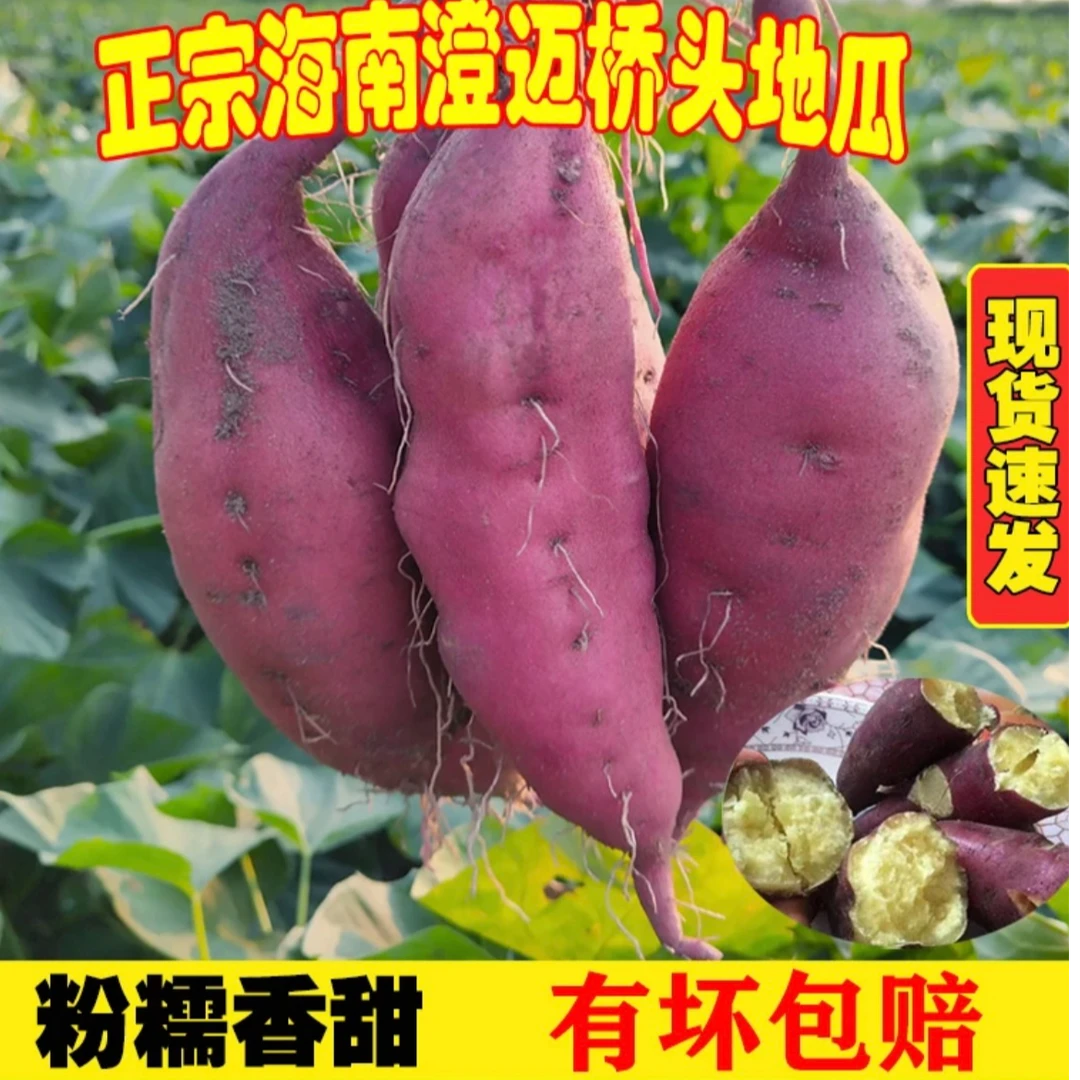 【海南优选好水果】正宗海南澄迈桥头富硒地瓜香甜板栗味新鲜现挖