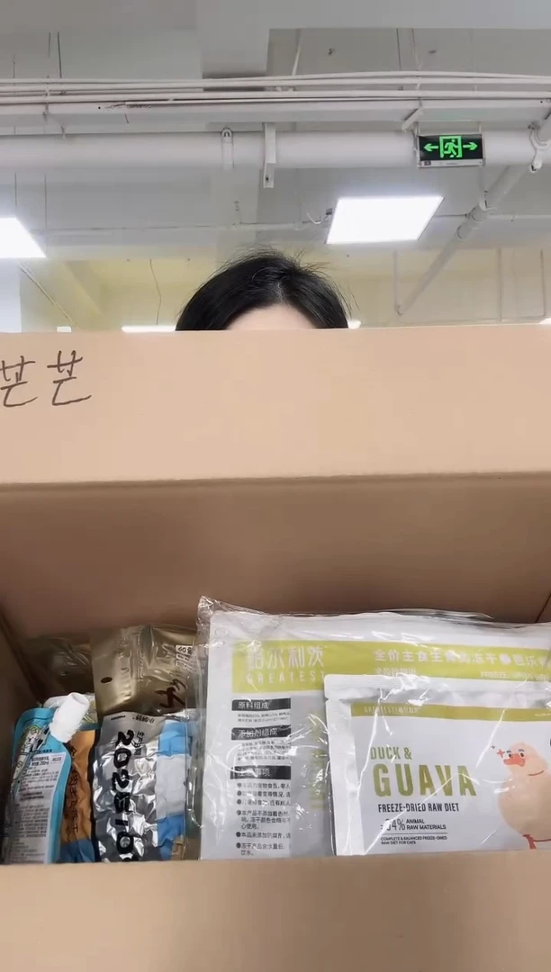 芒*203小鬼定向 芒芒