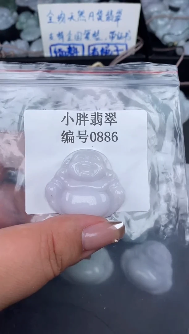 翡翠未镶嵌颈饰缅甸天然A货翡翠0886