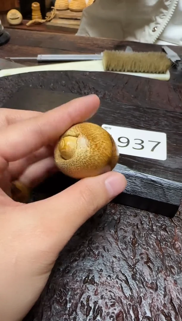 竹1937竹竹竹竹竹竹竹