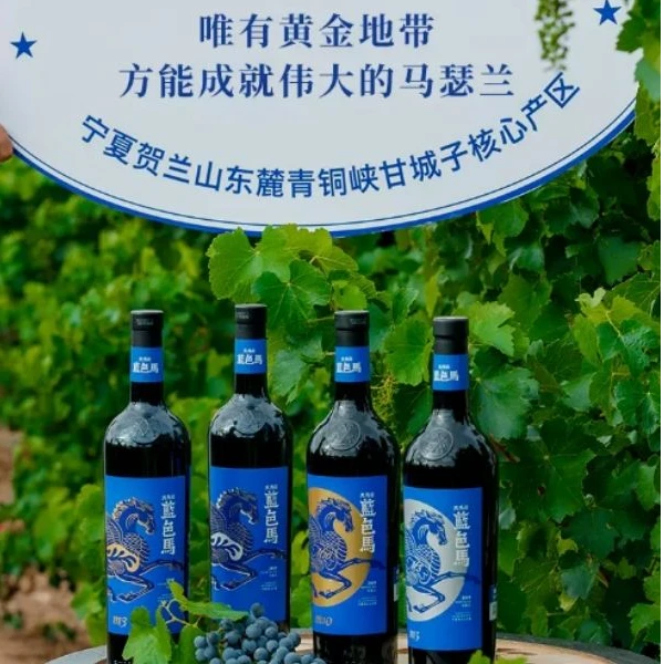 宁夏天马庄·蓝色马M3马瑟兰干红葡萄酒贺兰山东麓产区