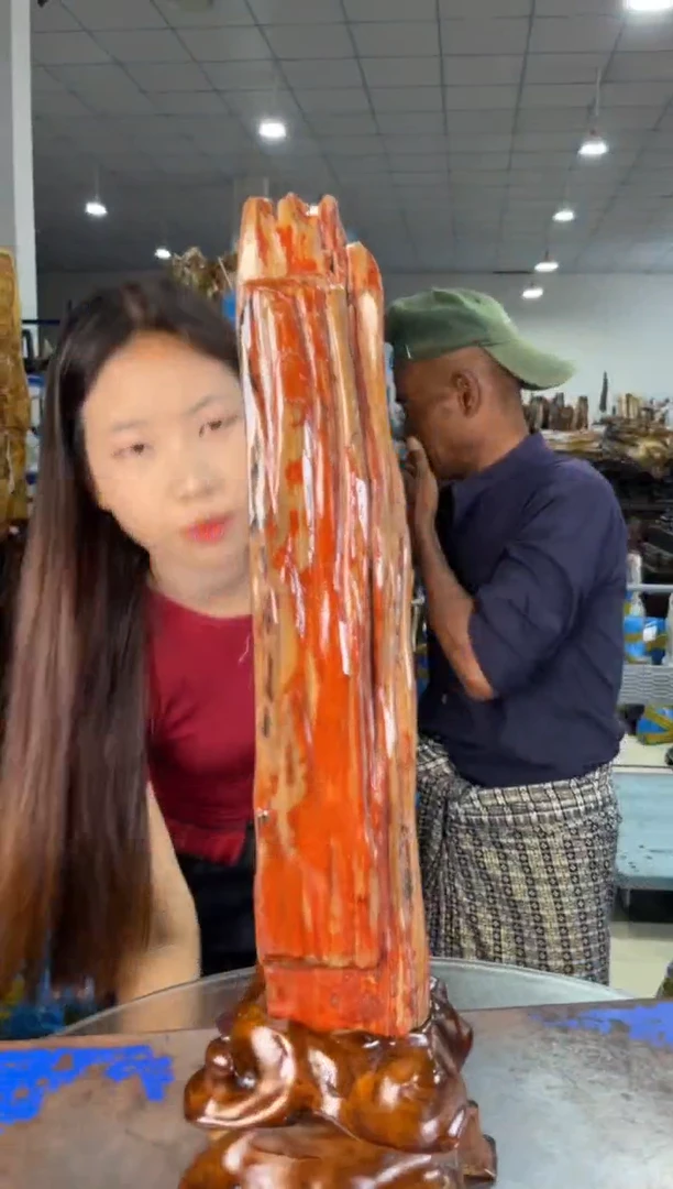 未镶嵌摆件硅化玉1