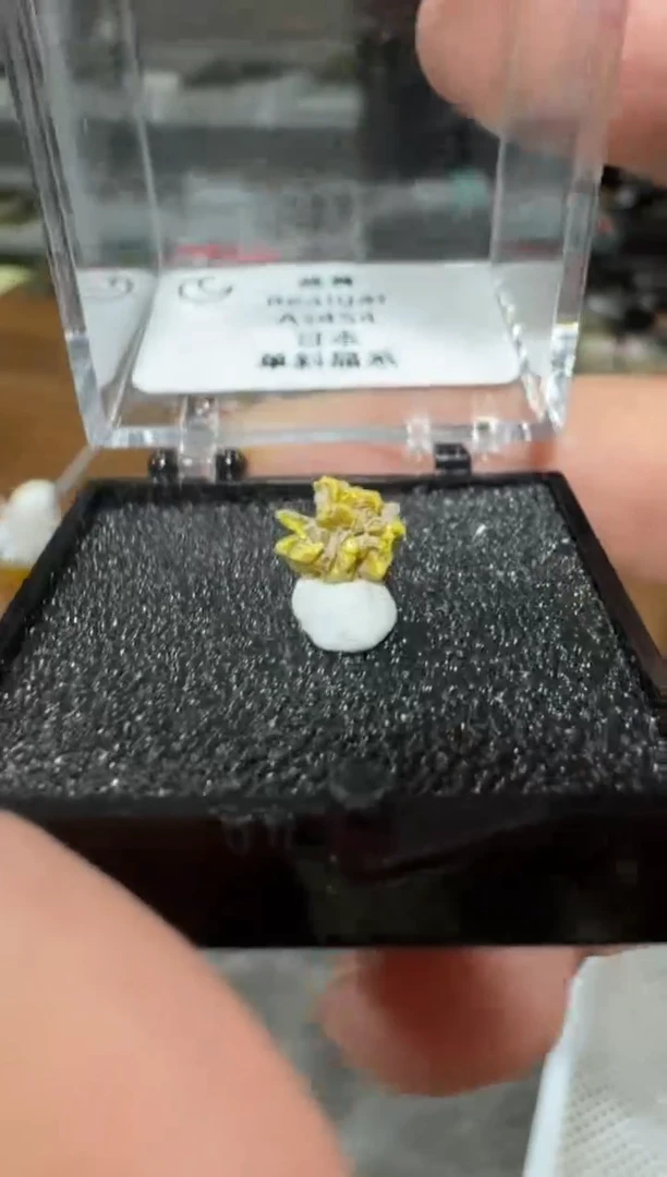 【闪购商品】月下珠宝严选矿物