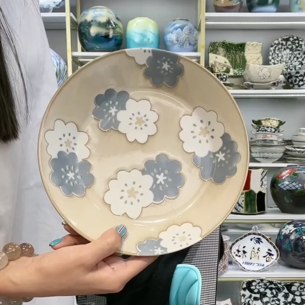 好看的盘子【单支】日本进口美浓烧爱淘Aito花朵盘20.5cm-冬雪