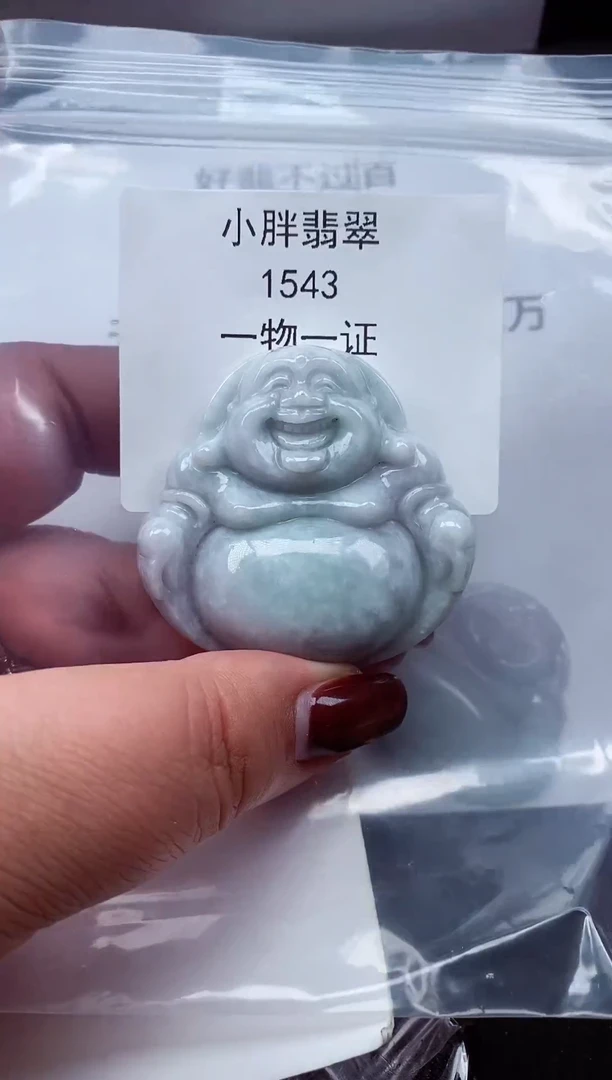 颈饰未镶嵌翡翠缅甸天然A货翡翠1543